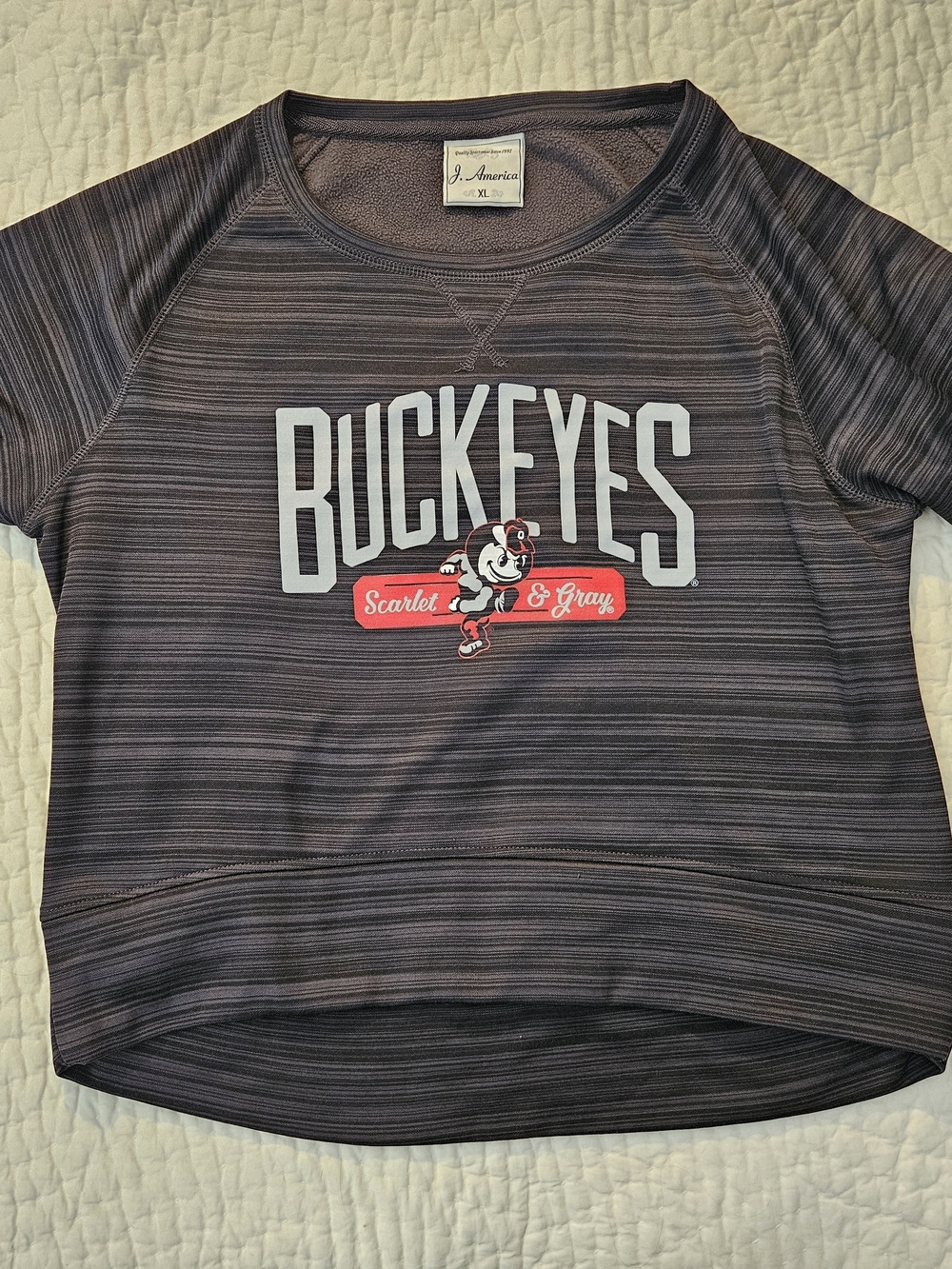 J. America Buckeyes Scarlet & Gray Cropped Sweatshirt